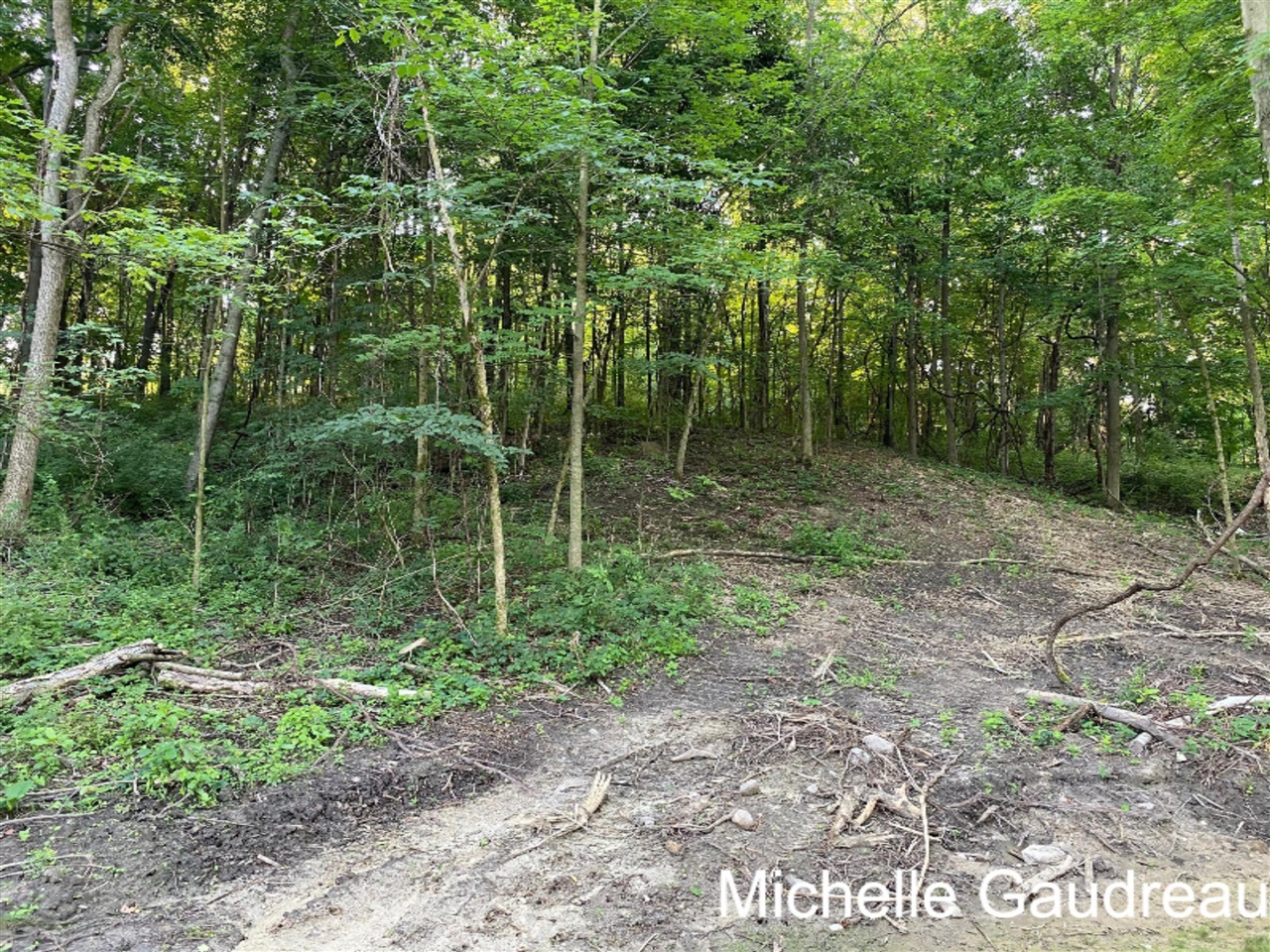 North N Ridge, Unit PARCEL 6 Middleville, MI 49333 - Photo 3 of 5