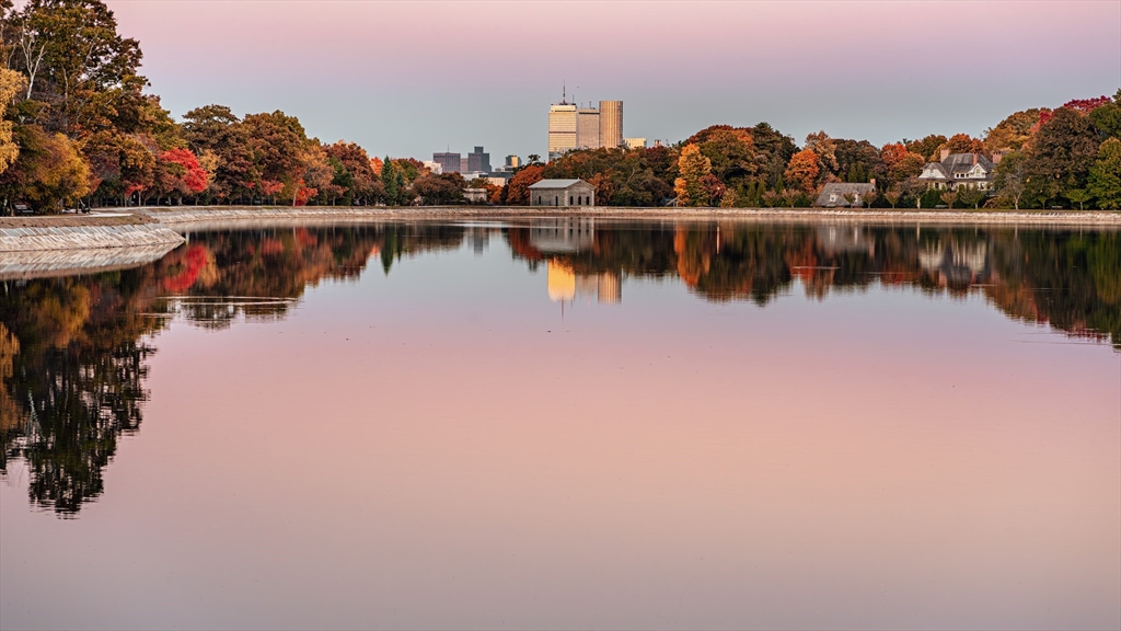 487 Boylston Street, Unit 3 Brookline, MA 02445 - Photo 13 of 14 a view of a city with lake