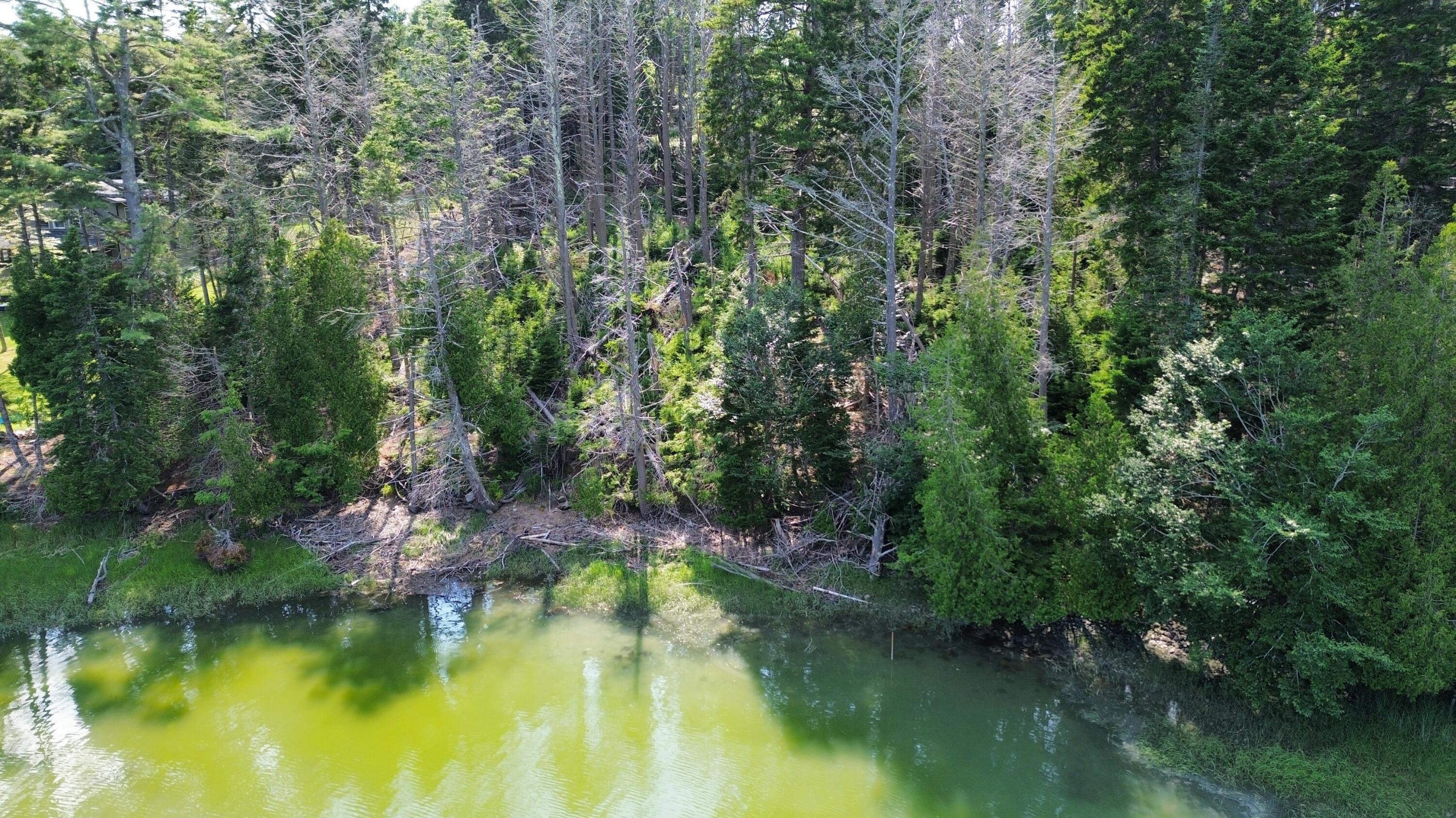 Lot #1 Bayview Road Orrs Island, ME 04066 - Photo 20 of 46 dji_fly_20240713_154316_899_172091592740