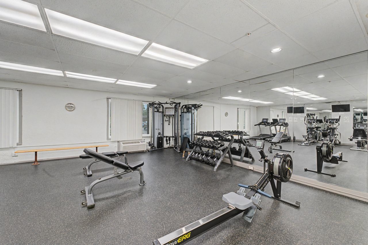 1 Renaissance Place, Unit 1105 Palatine, IL 60067 - Photo 16 of 21 a view of a room with gym equipment