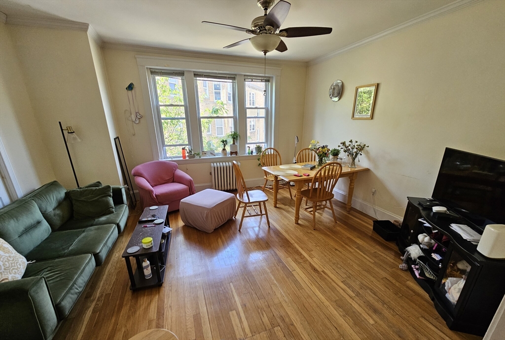 229 Freeman Street, Unit 3 Brookline, MA 02446 - Photo 9 of 10