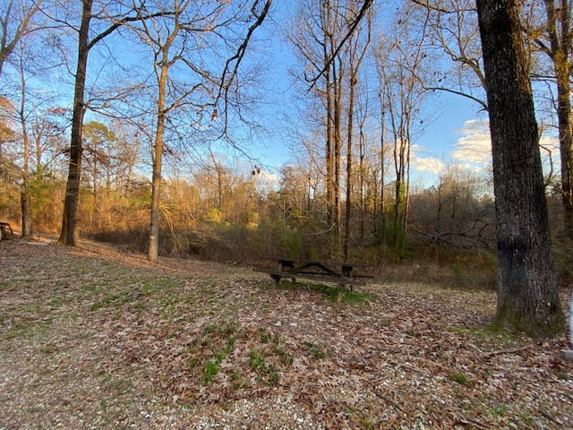 2550 Buffalo Road Woodville, MS 39669 - Photo 9 of 35 Photo 9