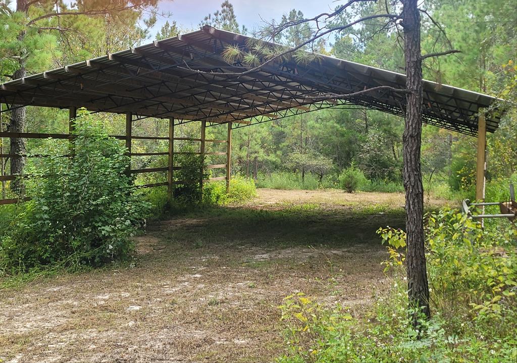 0 Jinks Crossing Road Bainbridge, GA 39819 - Photo 1 of 1 Main View