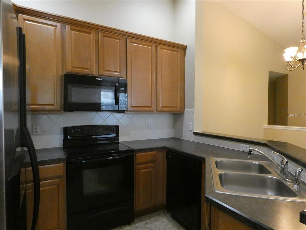 9092 Moonlit Meadows Loop Riverview, FL 33578 - Photo 5 of 13