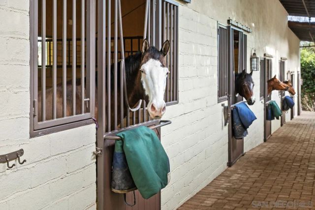 a view of a bird bath