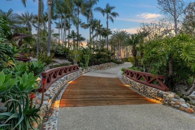 a view of a backyard with plants