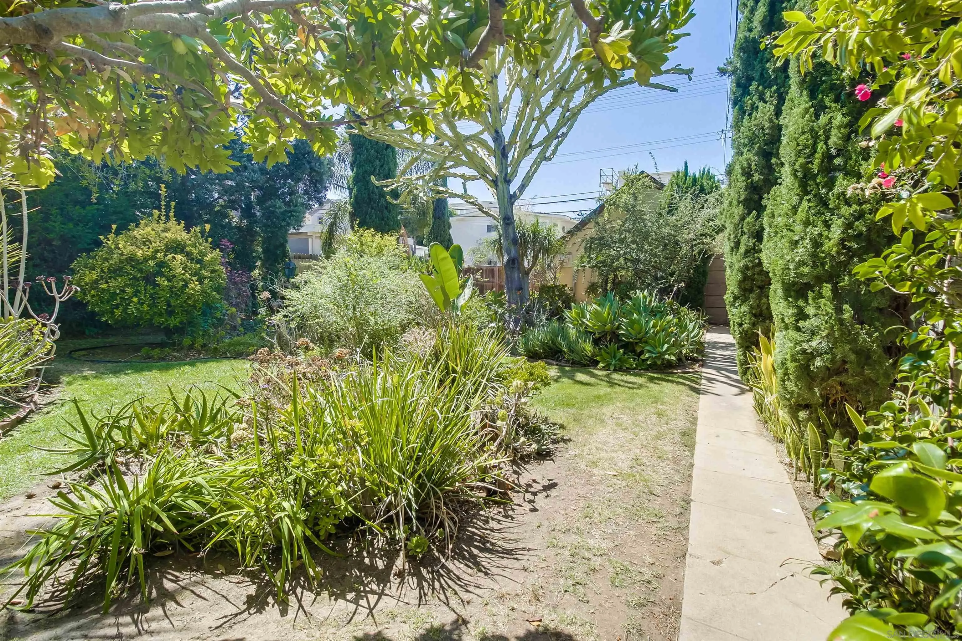 340 B Avenue Coronado, CA 92118 - Photo 24 of 31 a view of a yard with plants