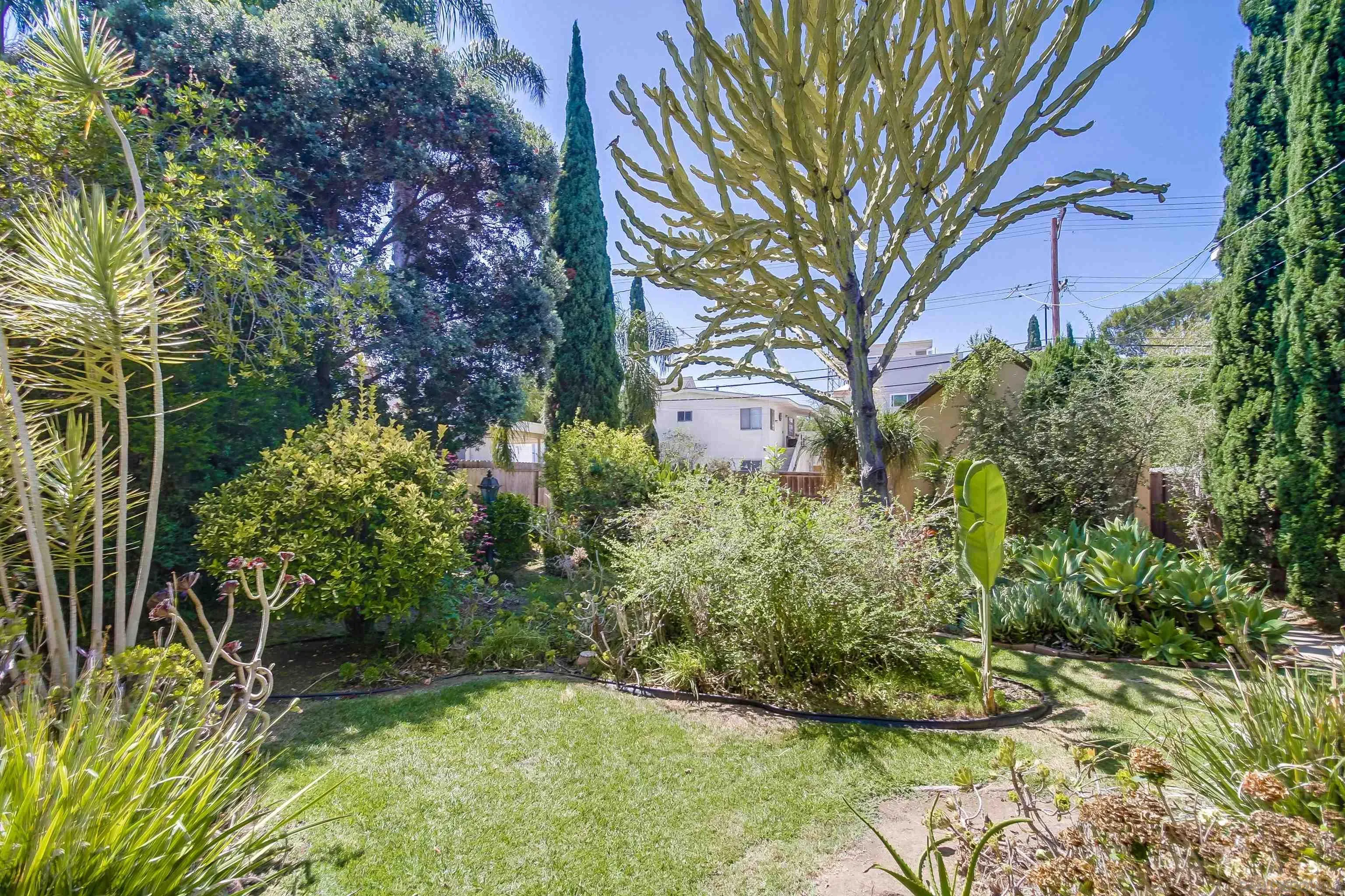 340 B Avenue Coronado, CA 92118 - Photo 26 of 31 a view of a yard