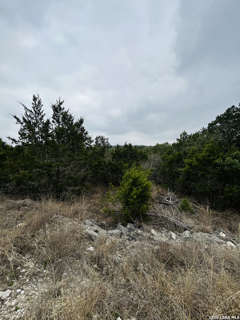 Cr 2763-lot 439 Bear Spring Ranch Mico, TX 78056 - Photo 7 of 9 a view of a yard with a tree