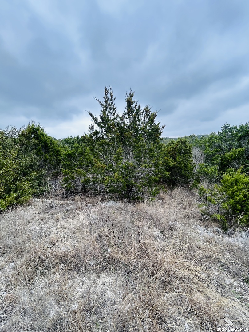 Cr 2763-lot 439 Bear Spring Ranch Mico, TX 78056 - Photo 8 of 9 a view of a yard with plants and a tree
