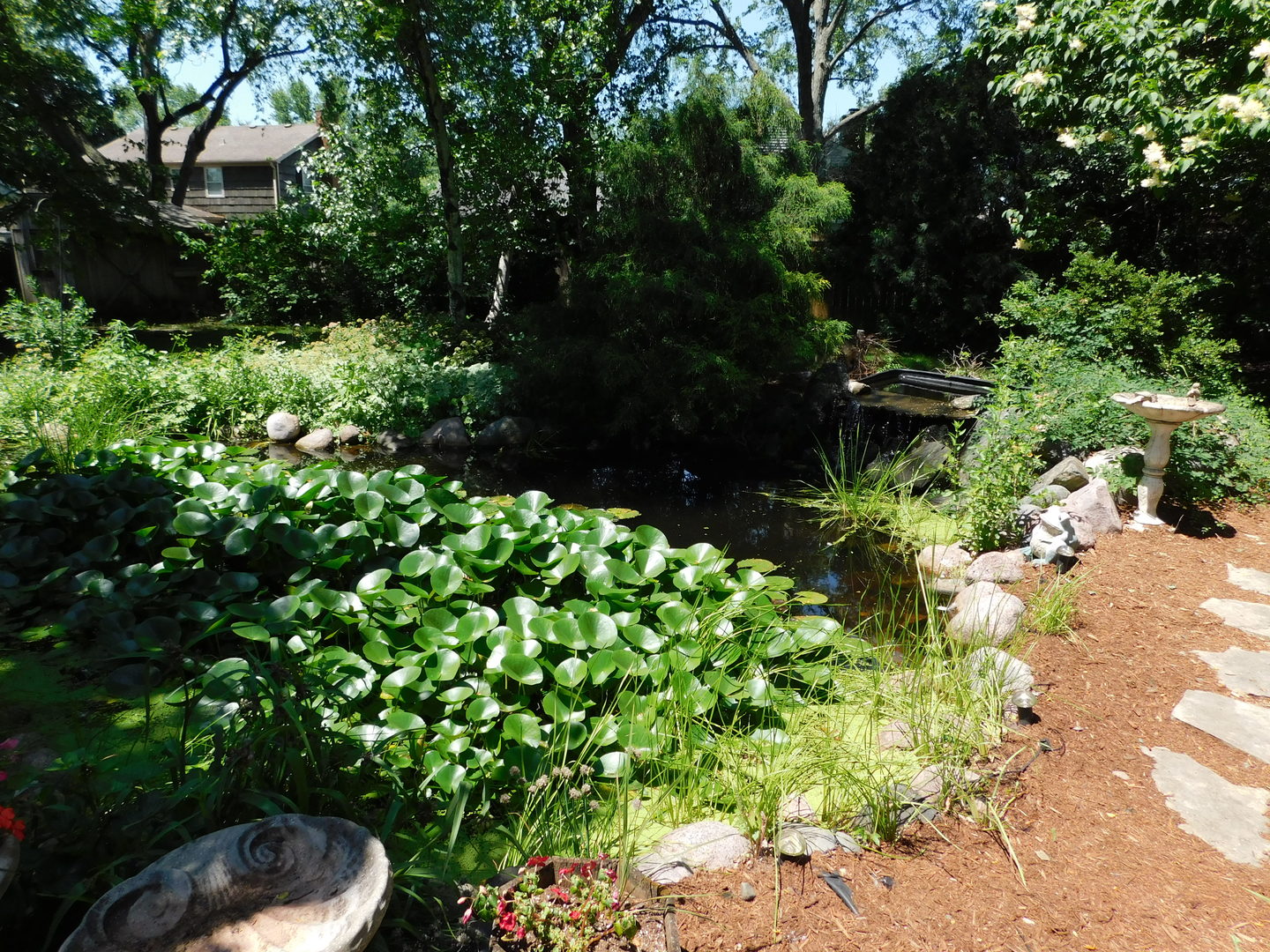 274 Timber Hill Road Buffalo Grove, IL 60089 - Photo 19 of 22 a backyard of a house with lots of green space