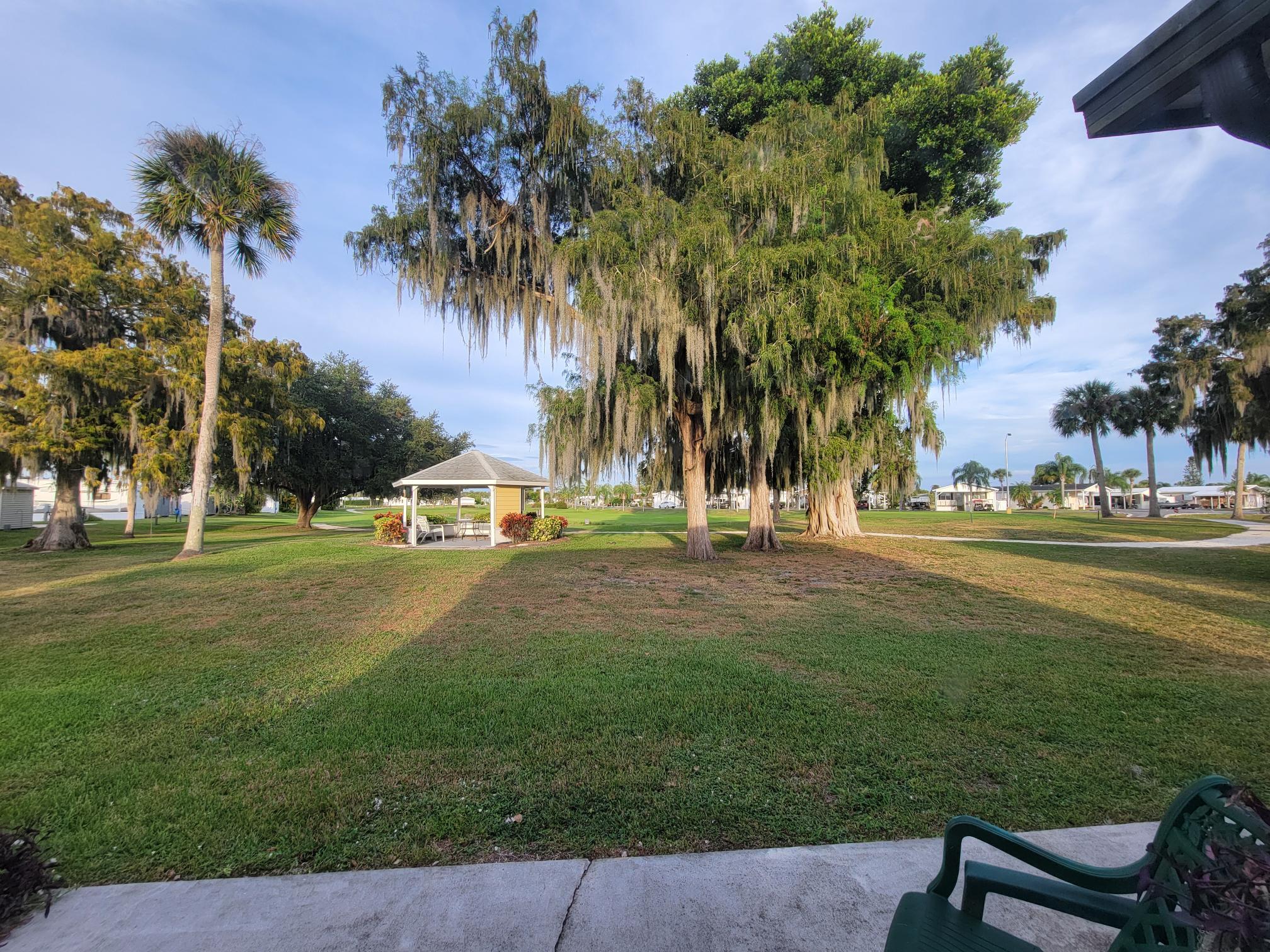 13690 Northwest 127th Terrace Okeechobee, FL 34974 - Photo 20 of 23 a view of a park with palm trees