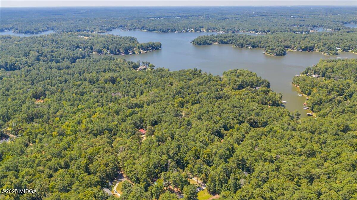 41 Golden Eye Monticello, GA 31064 - Photo 34 of 65 an aerial view of green landscape with trees