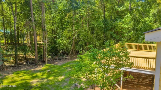 a view of a field with an trees