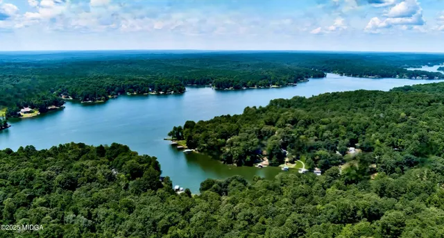 a view of a park with large trees
