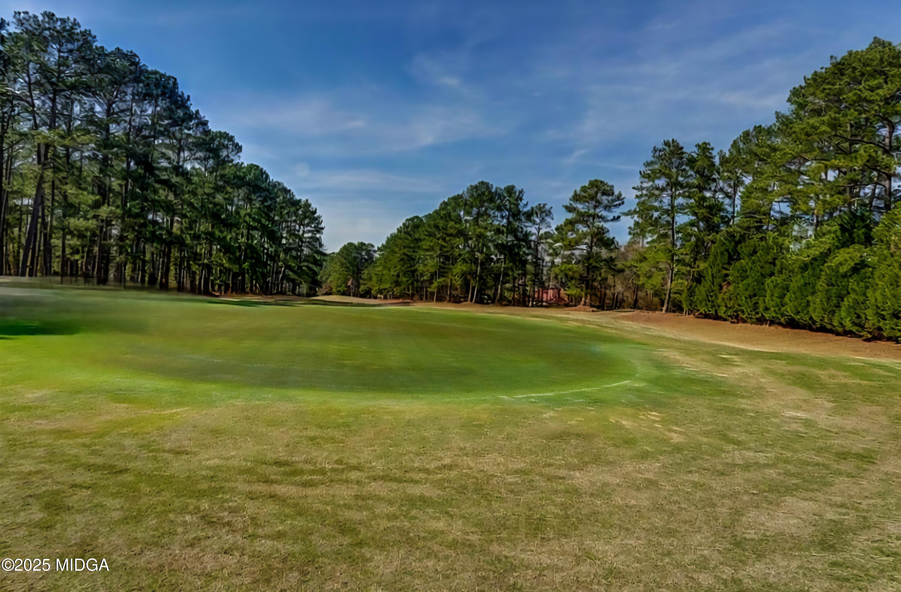 41 Golden Eye Monticello, GA 31064 - Photo 48 of 65 a view of a field with an trees in the background
