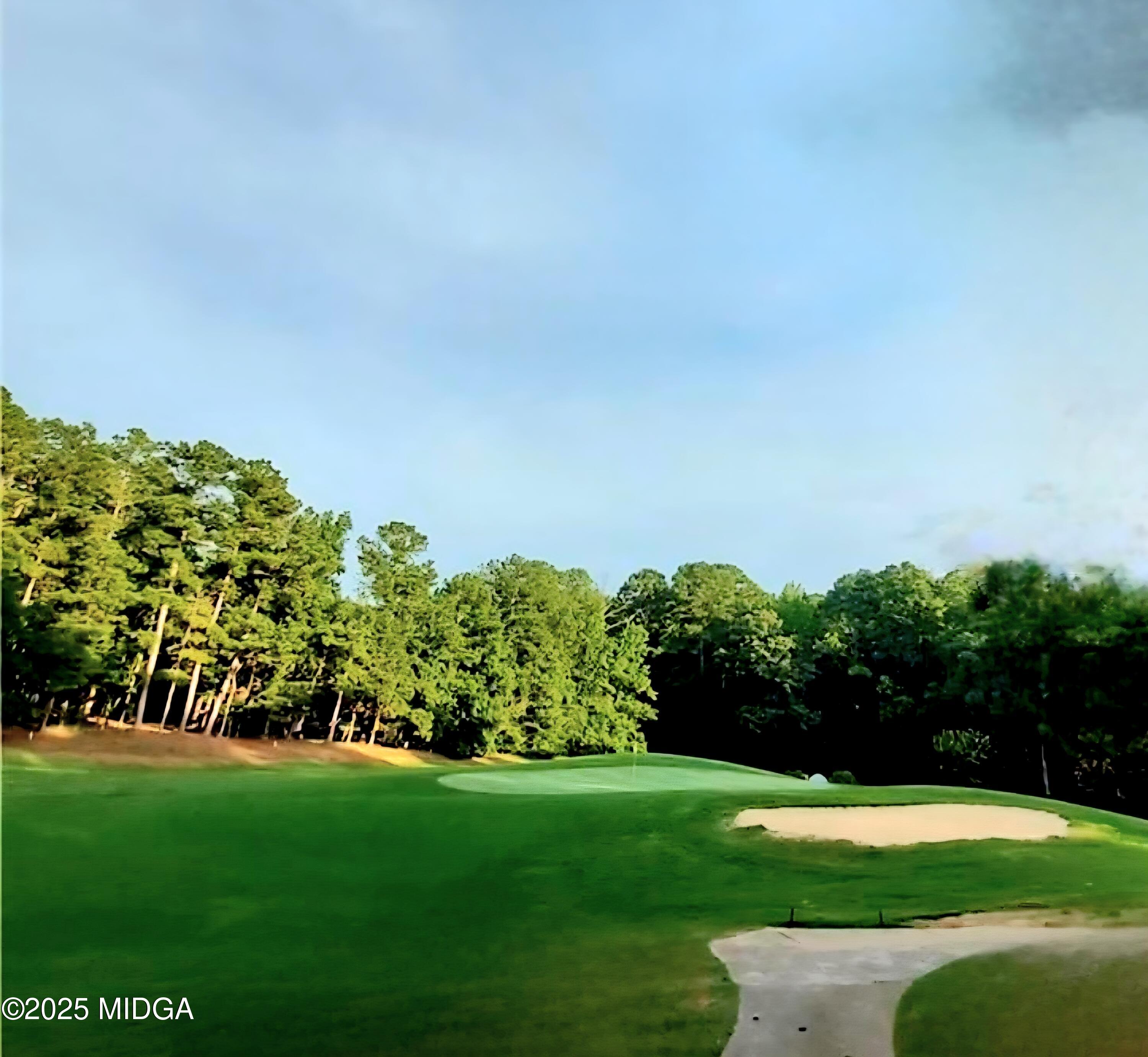 41 Golden Eye Monticello, GA 31064 - Photo 49 of 65 a view of yard with green space