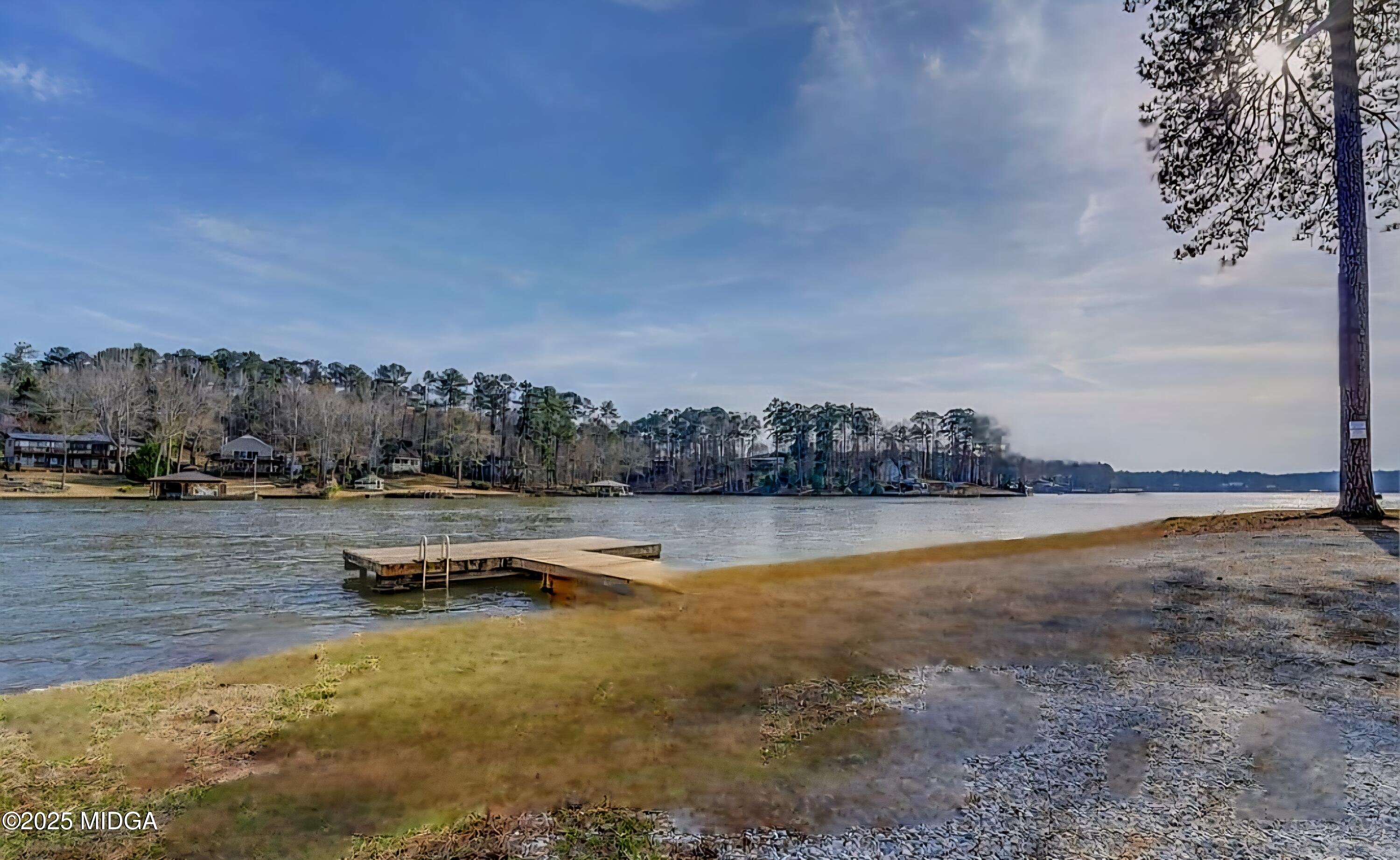 41 Golden Eye Monticello, GA 31064 - Photo 51 of 65 a view of a lake with outdoor space
