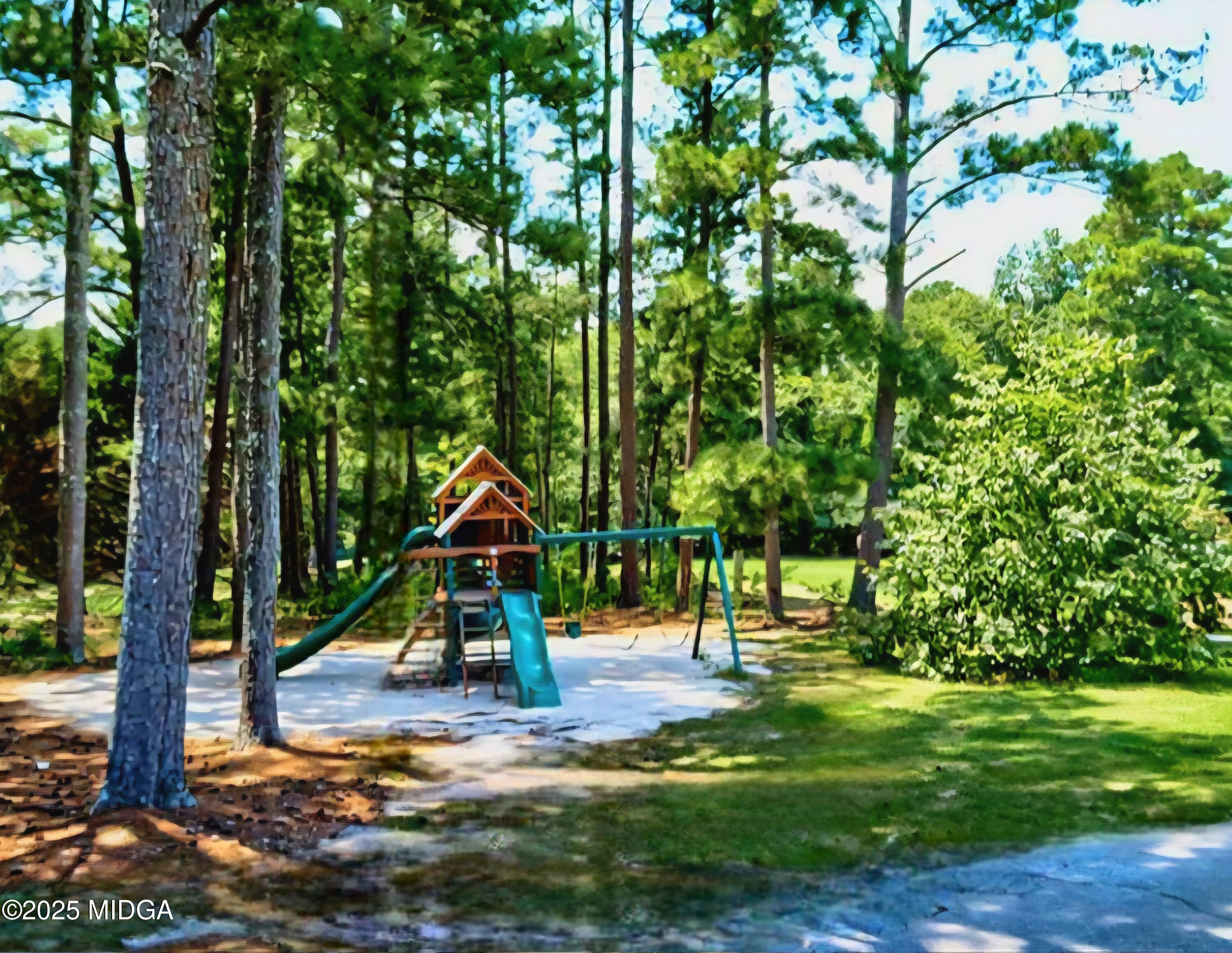 41 Golden Eye Monticello, GA 31064 - Photo 64 of 65 a view of park