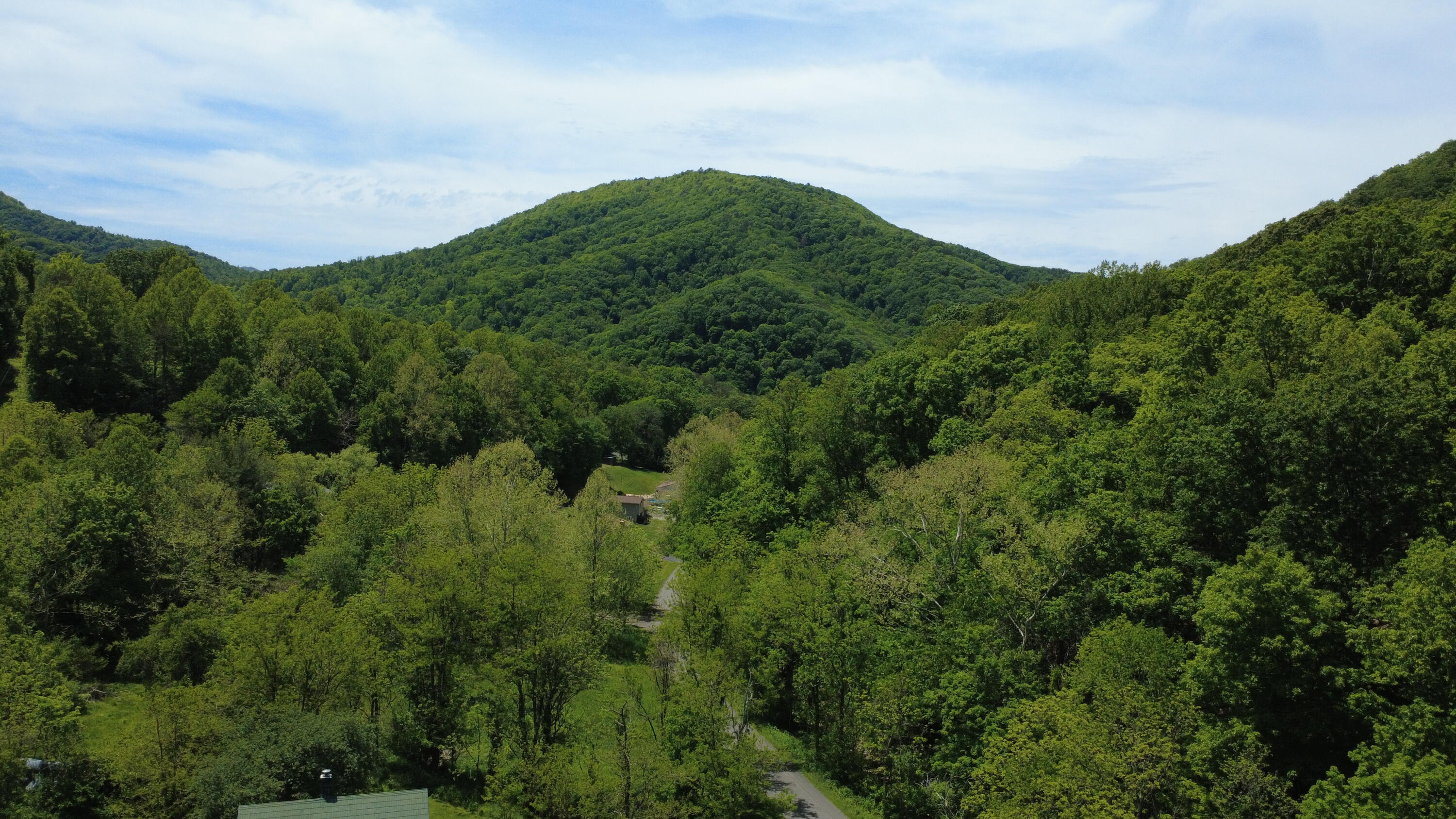 803 White Rock Gap Road Covington, VA 24426 - Photo 8 of 21 DJI_0197