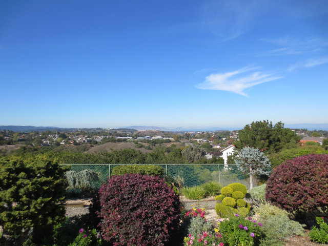 2637 Wakefield Drive Belmont, CA 94002 - Photo 3 of 25