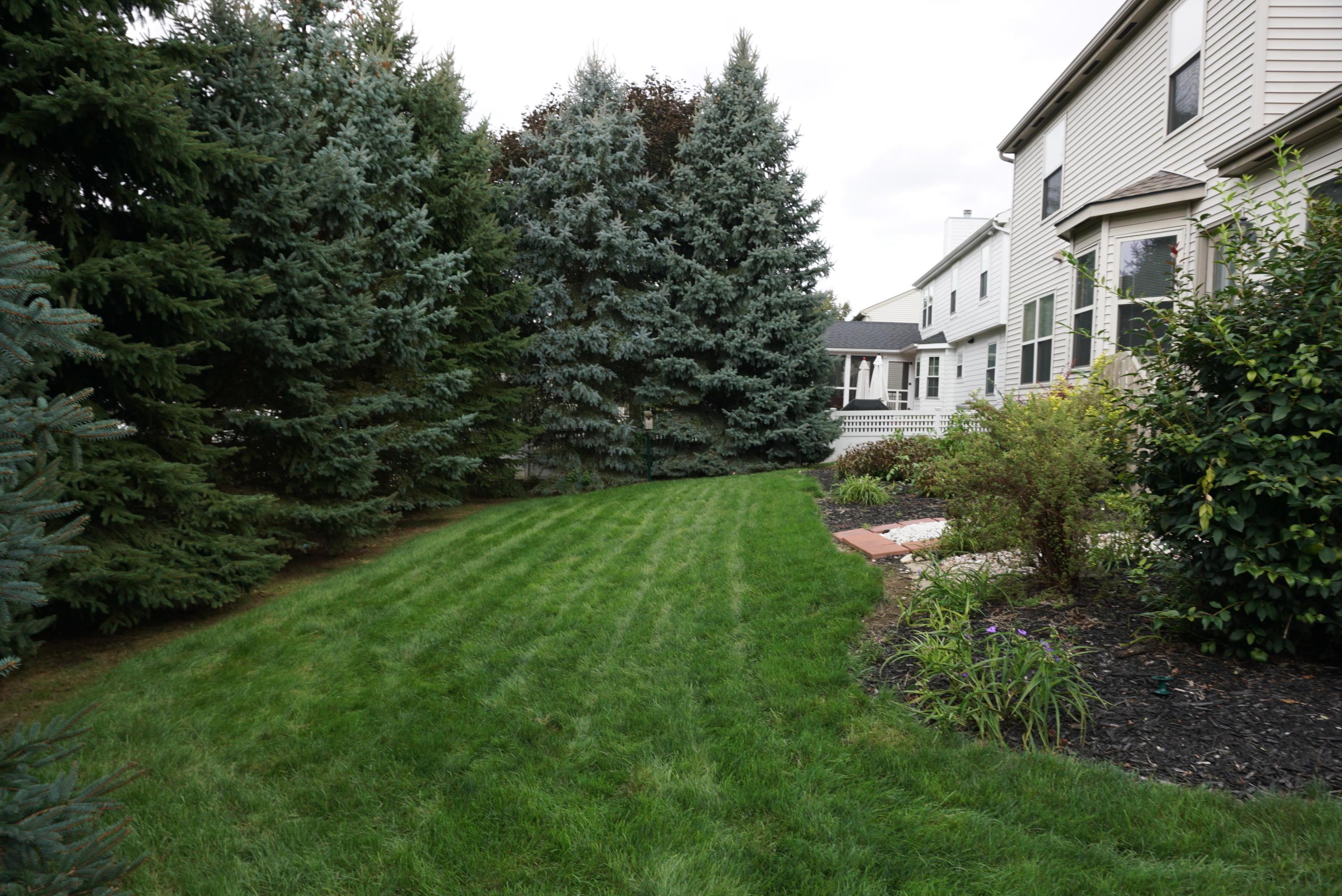 5347 Sutter Home Road Hilliard, OH 43026 - Photo 5 of 34 Gallery Image 5