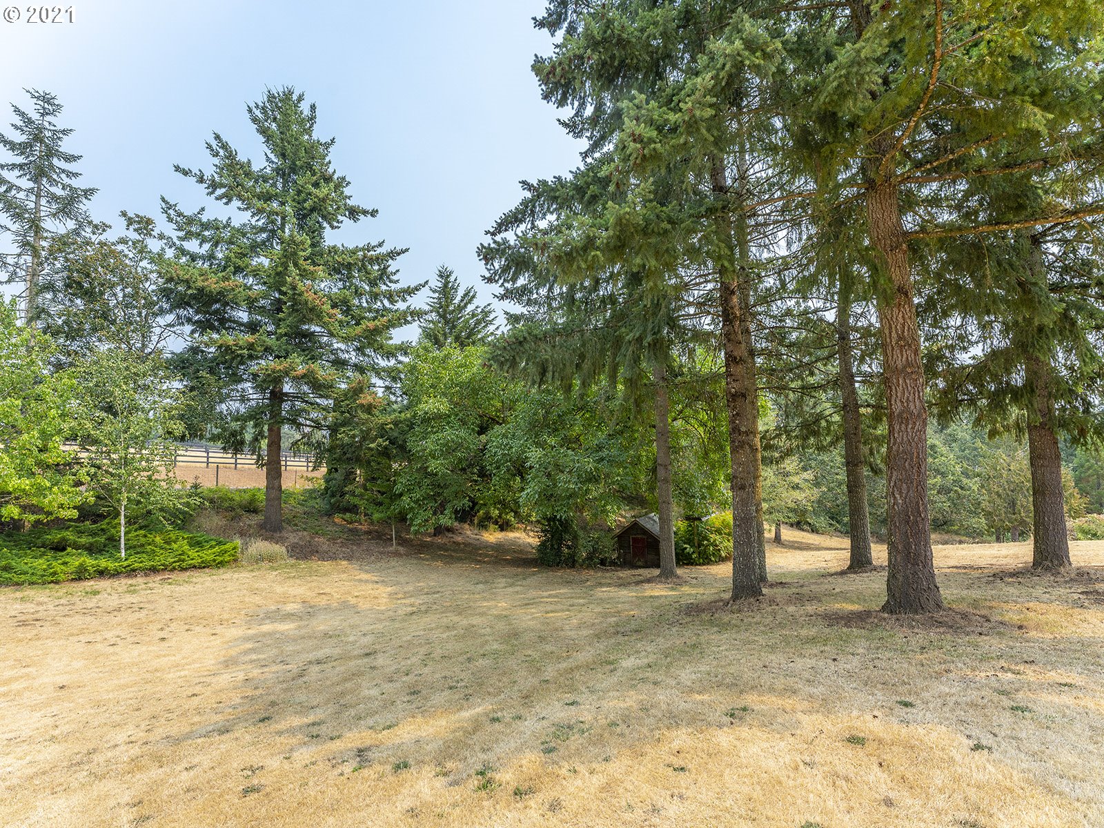 18350 Southwest Kramien Road Newberg, OR 97132 - Photo 25 of 31 a view of a tree in the middle of a yard