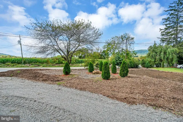 a view of a garden with plants