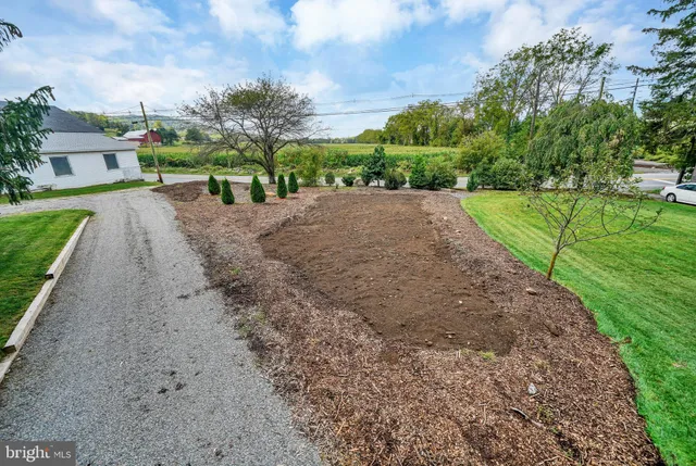 a view of a park with large trees