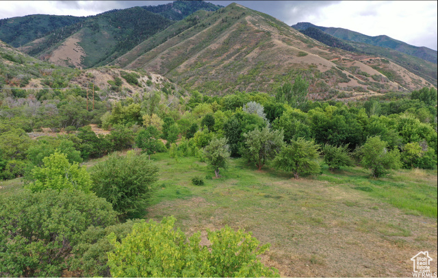 550 North 2000th Street East Mapleton, UT 84664 - Photo 8 of 16 View of mountain background