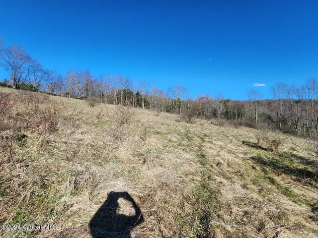 $125,000 | L1 Lang Rd Summit, Summit, NY 12175