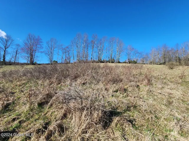 $125,000 | L1 Lang Rd Summit, Summit, NY 12175