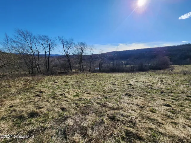 $125,000 | L1 Lang Rd Summit, Summit, NY 12175