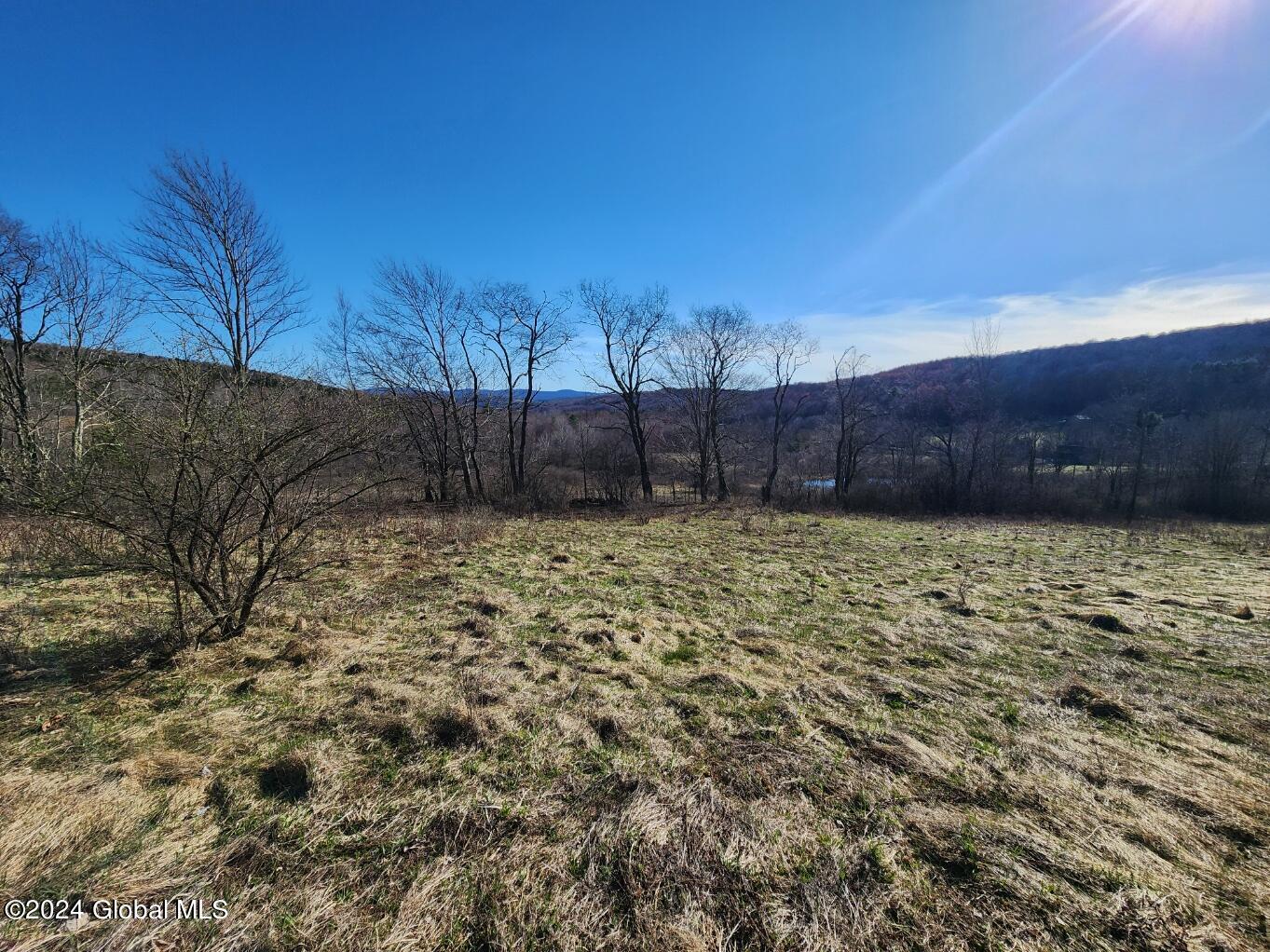 L1 Lang Rd Summit Summit, NY 12175 - Photo 15 of 18 20240416_165716