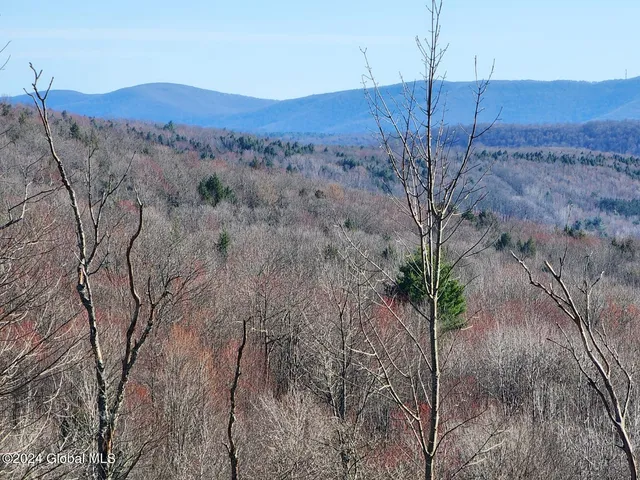 $125,000 | L1 Lang Rd Summit, Summit, NY 12175