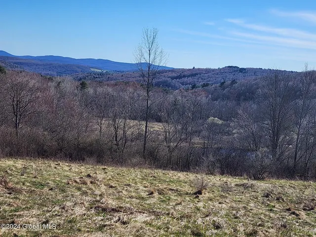 $125,000 | L1 Lang Rd Summit, Summit, NY 12175