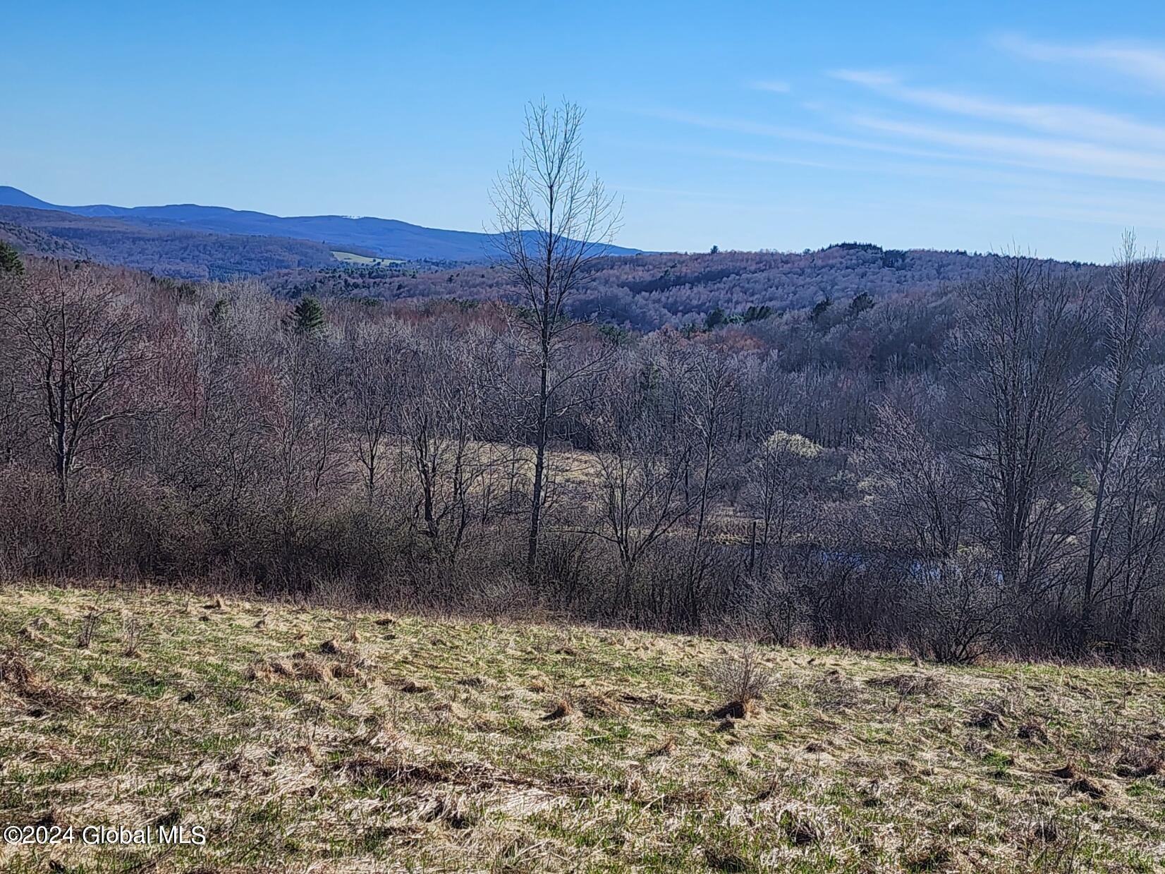 L1 Lang Rd Summit Summit, NY 12175 - Photo 3 of 18 20240416_165021