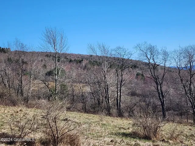 $125,000 | L1 Lang Rd Summit, Summit, NY 12175