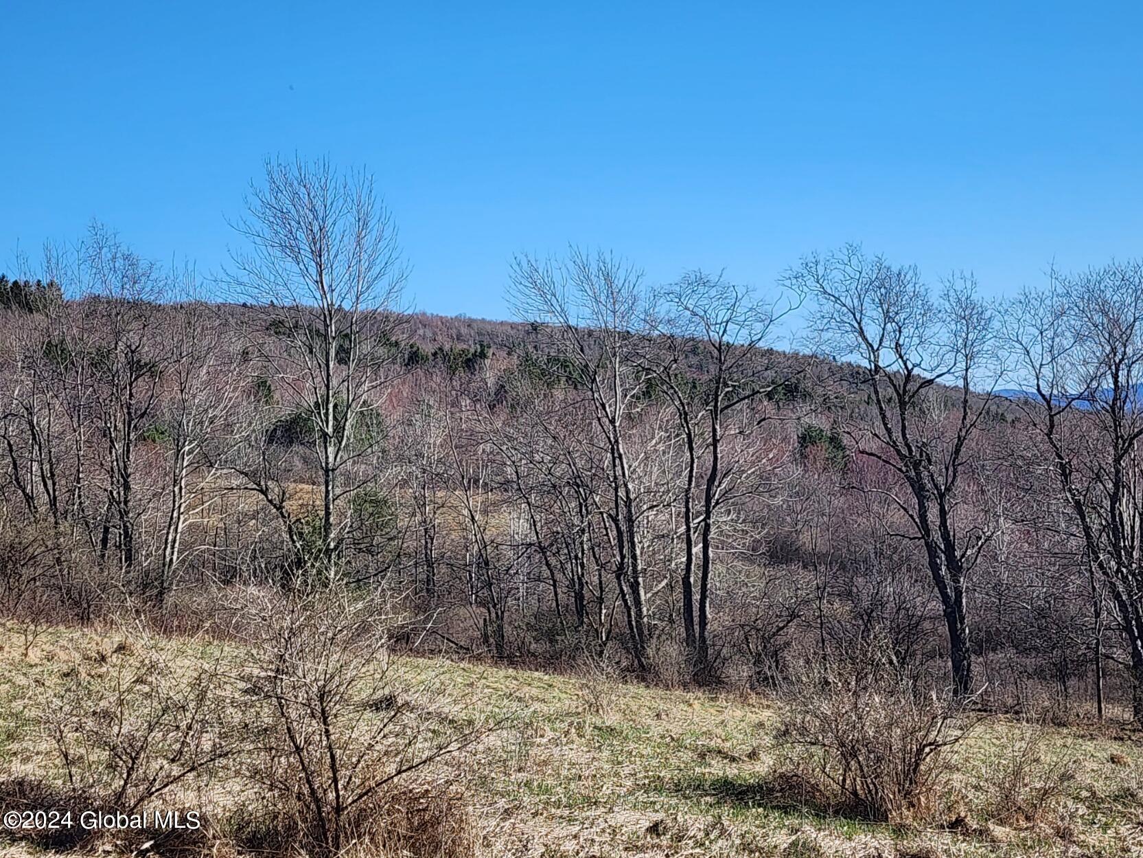 L1 Lang Rd Summit Summit, NY 12175 - Photo 4 of 18 20240416_165105