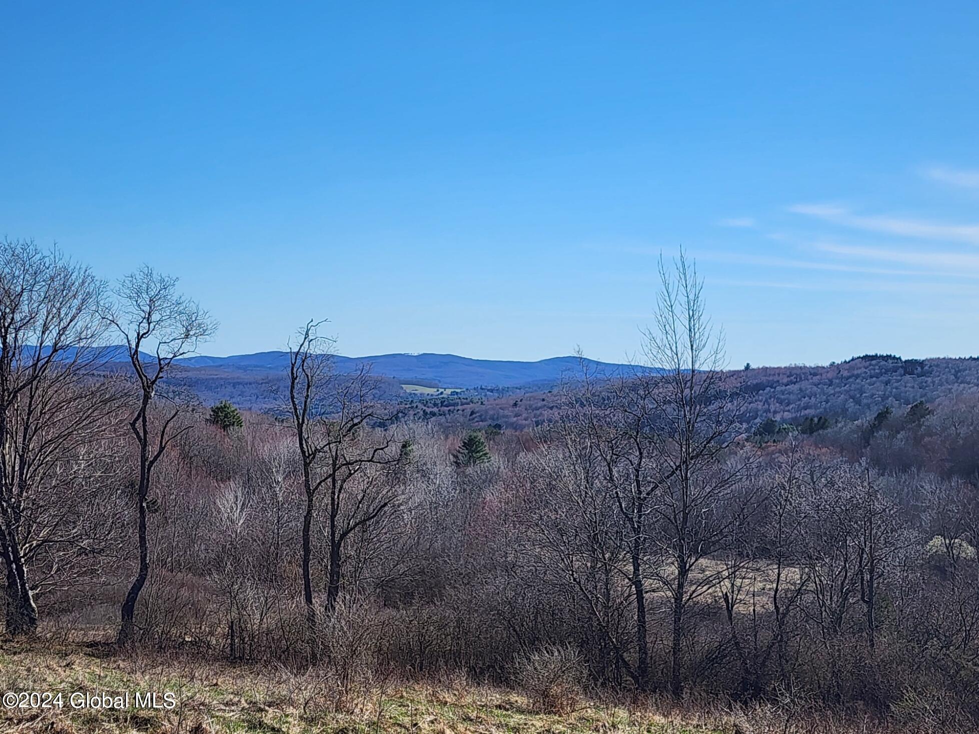 L1 Lang Rd Summit Summit, NY 12175 - Photo 5 of 18 20240416_165100