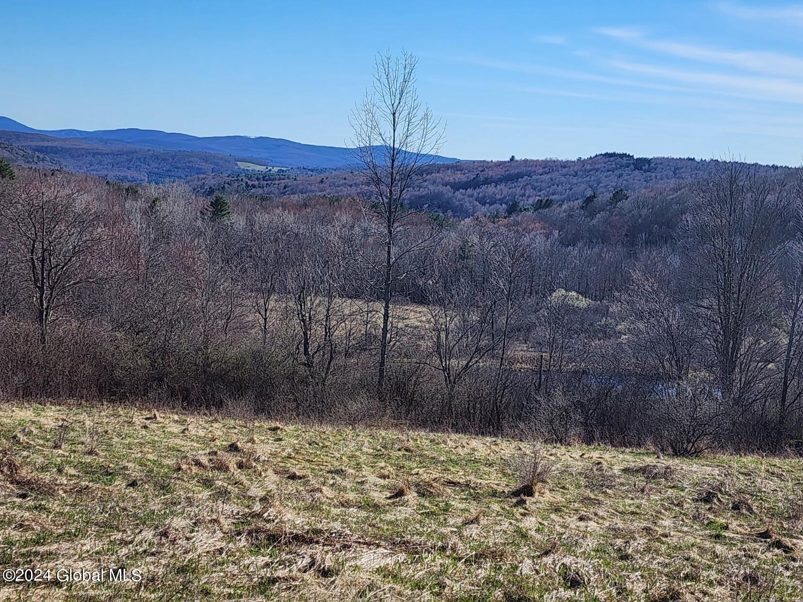 L1 Lang Rd Summit Summit, NY 12175 - Photo 6 of 18 20240416_165024