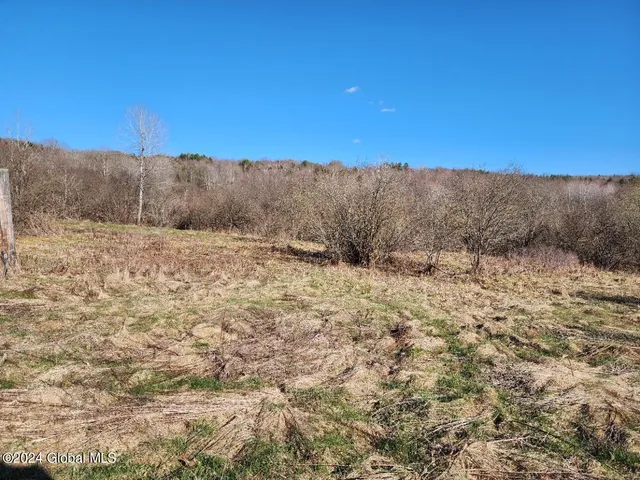 $125,000 | L1 Lang Rd Summit, Summit, NY 12175