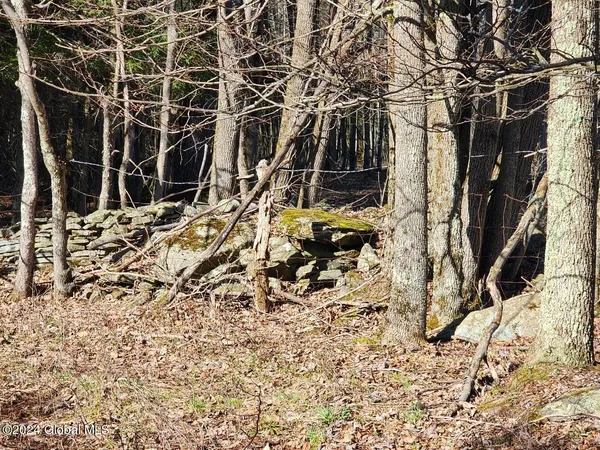 $125,000 | L1 Lang Rd Summit, Summit, NY 12175