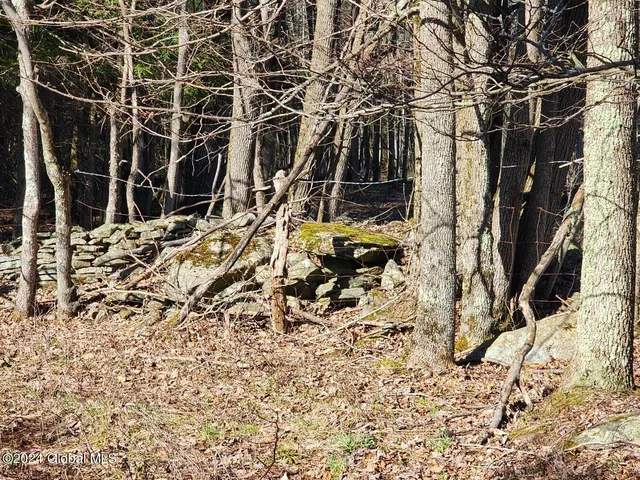 $125,000 | L1 Lang Rd Summit, Summit, NY 12175