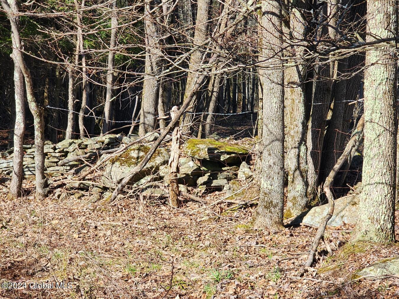 L1 Lang Rd Summit Summit, NY 12175 - Photo 8 of 18 20240416_163745