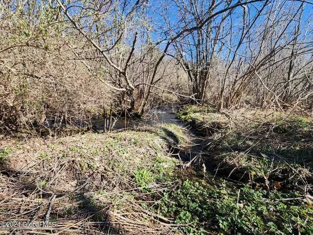 $125,000 | L1 Lang Rd Summit, Summit, NY 12175