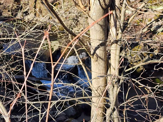 $125,000 | L1 Lang Rd Summit, Summit, NY 12175