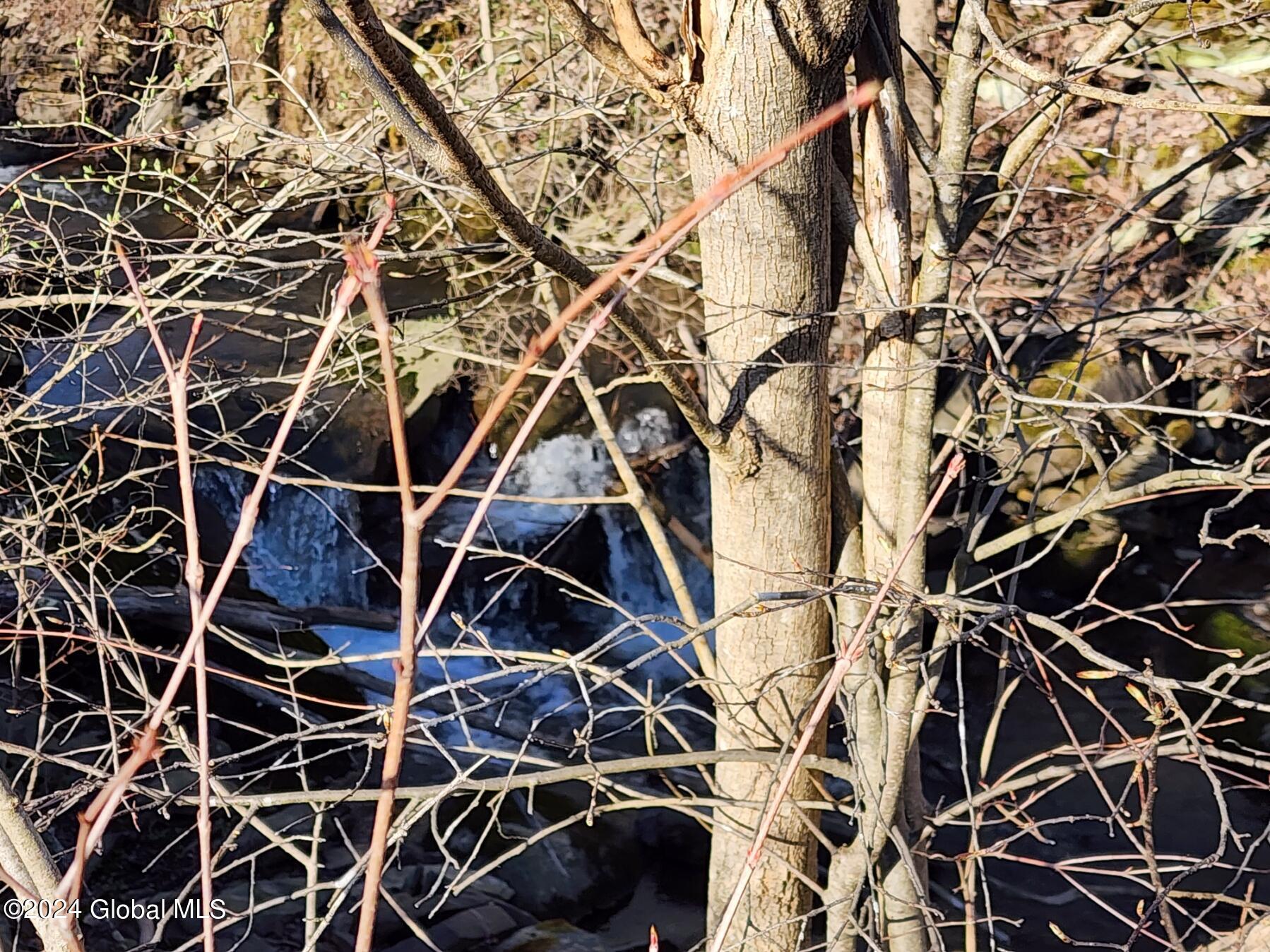 L1 Lang Rd Summit Summit, NY 12175 - Photo 10 of 18 20240416_175932