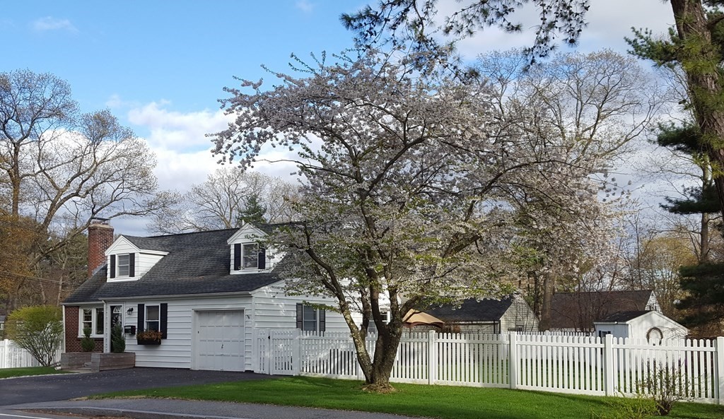 123 Dalton Road Chelmsford, MA 01824 - Photo 2 of 36 Gallery Image 2