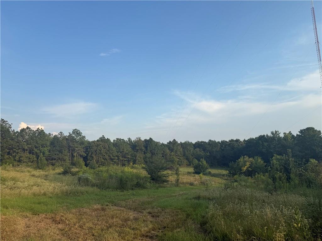 1916 Bayou Maria Road Pineville, LA 71360 - Photo 3 of 10